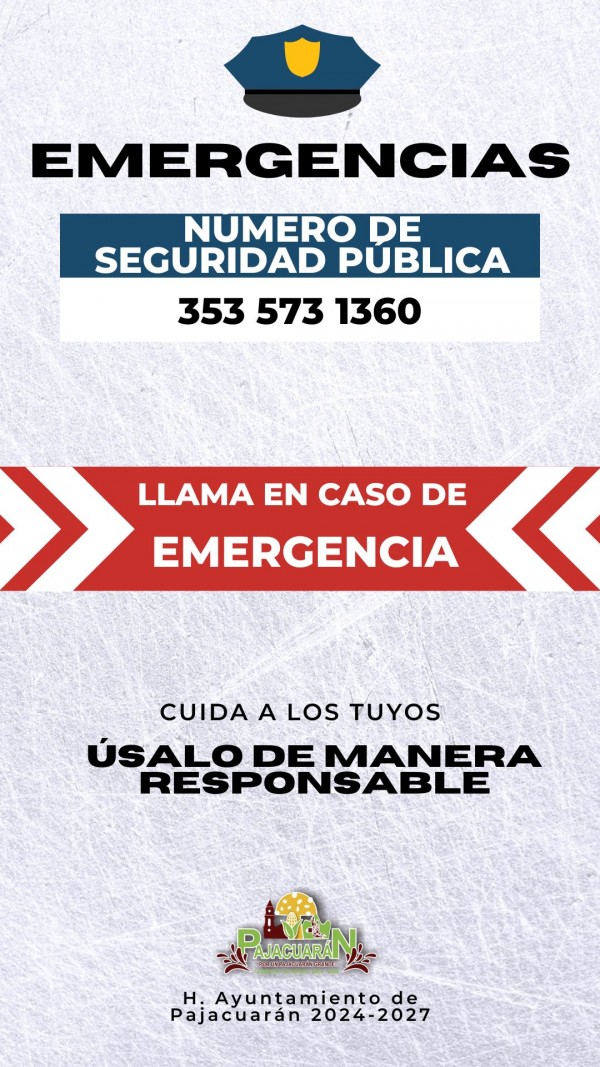 Seguridad Publica